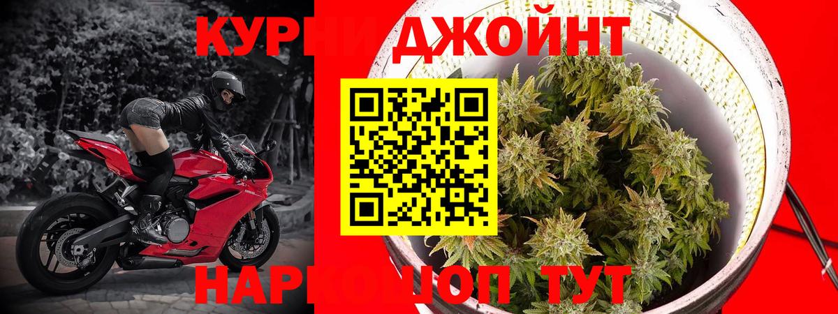 Марихуана сатива  Вход с VPN  Ярославль  Бошки Шишки Bruce Banner  Бошки Шишки VHQ  Бошки марихуана OG Kush 